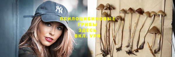 бутират Бородино