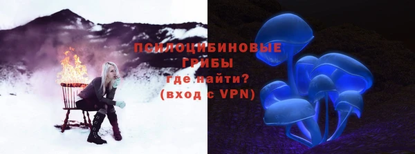 бутират Бородино