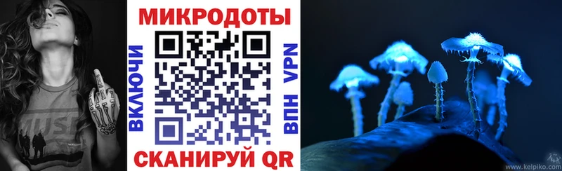 OMG вход  Домодедово  Галлюциногенные грибы MAGIC MUSHROOMS 